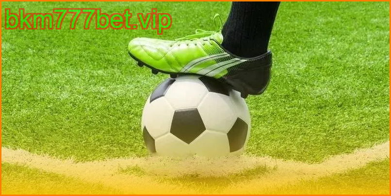 คู่มือการเล่นเดิมพันสูง–ต่ำจากผู้เชี่ยวชาญ