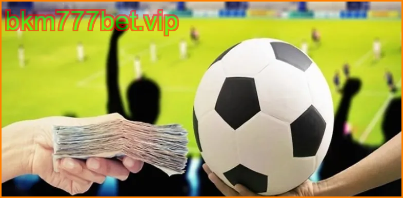 แนวทางและเทคนิคการวิเคราะห์เดิมพันสูง–ต่ำแบบเต็มเวลา